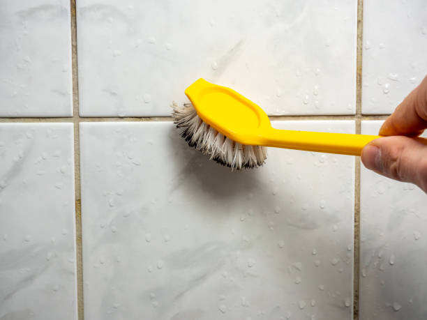 Best Kitchen Mold Remediation in South Lyon, MI