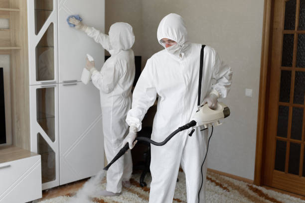 Best Commercial Mold Remediation in South Lyon, MI