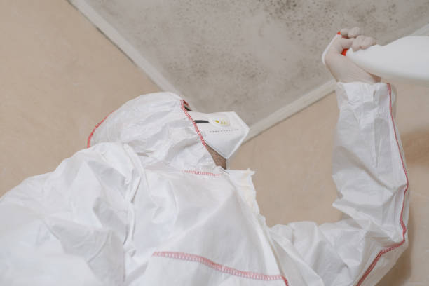 Best Residential Mold Remediation in South Lyon, MI