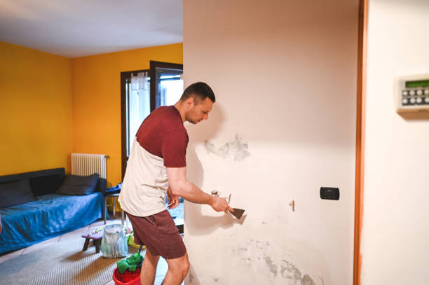 Best Mold Remediation for Specific Building Types in South Lyon, MI